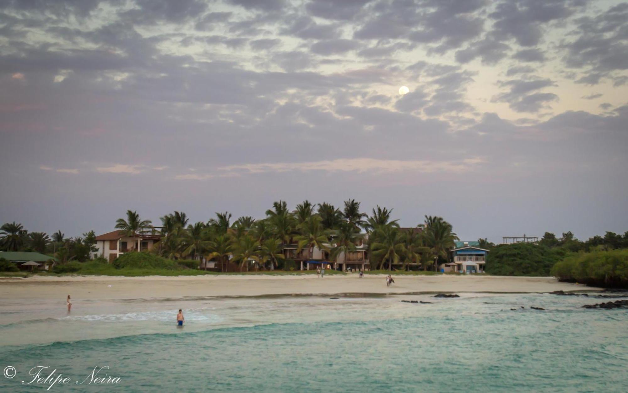 The Isabela Beach House Puerto Villamil Eksteriør billede